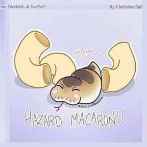 Meet your Posher, Grace